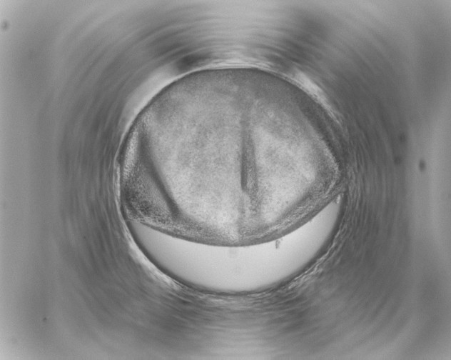 X0000059241476200511041255