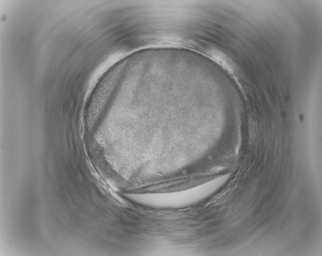 X0000059241480200511041255