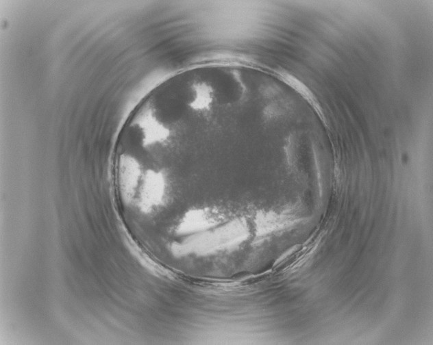 X0000059241482200511041255