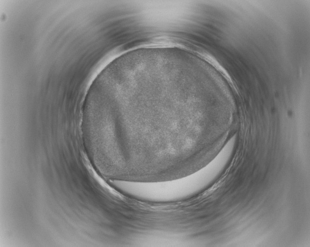 X0000059241484200511041255