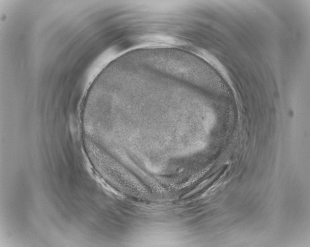 X0000059241488200511041254