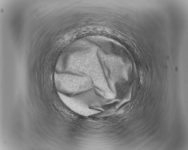 X0000059241489200511041254