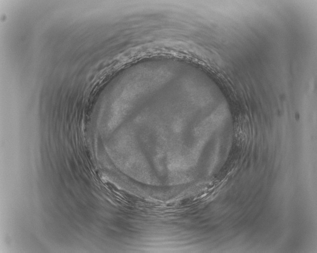 X0000059241490200511041254