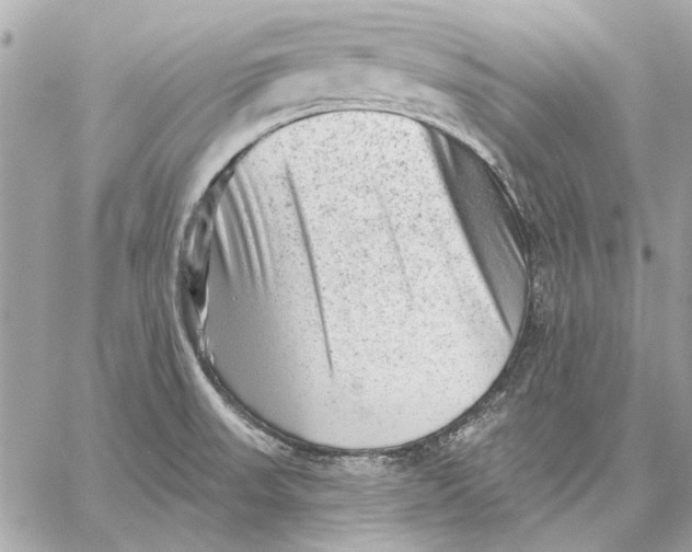 X0000059241523200511041254