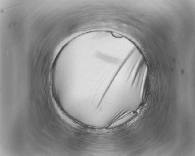X0000059241526200511041254