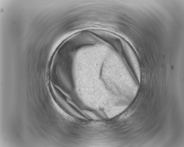 X0000059241531200511041254