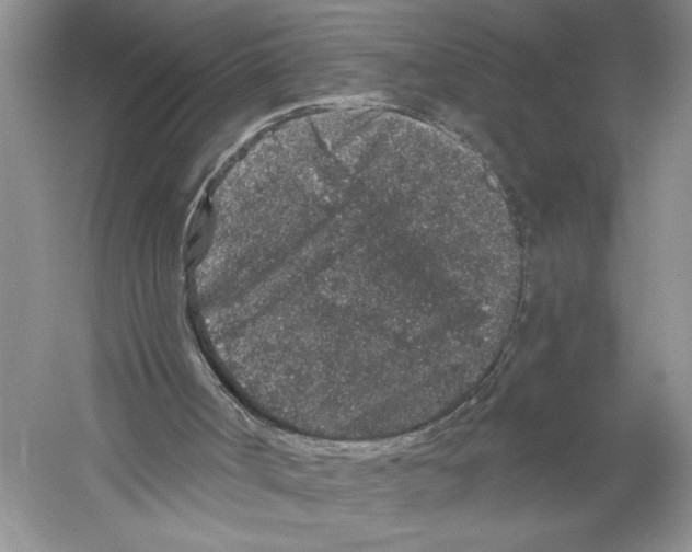 X0000059240002200511111627