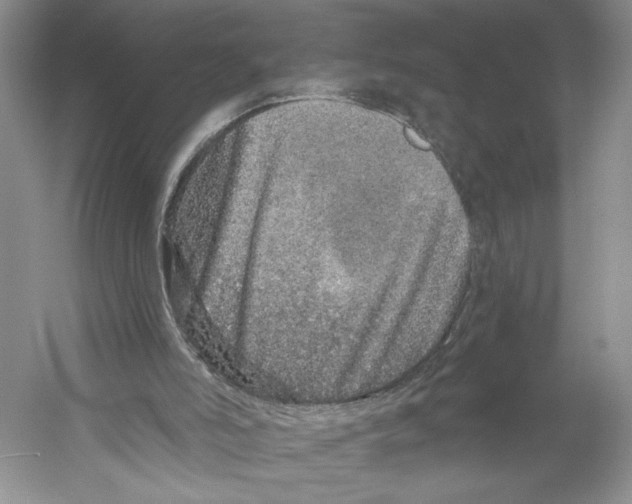 X0000059240006200511111627