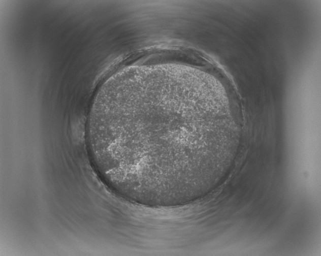 X0000059240010200511111627