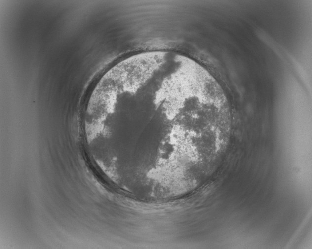 X0000059240012200511111627