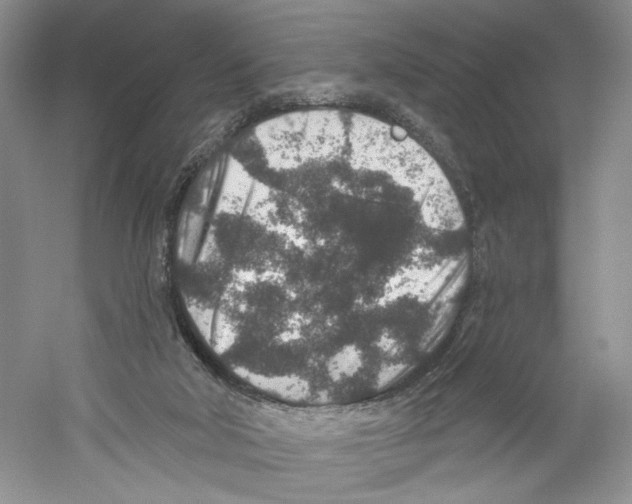 X0000059240018200511111627