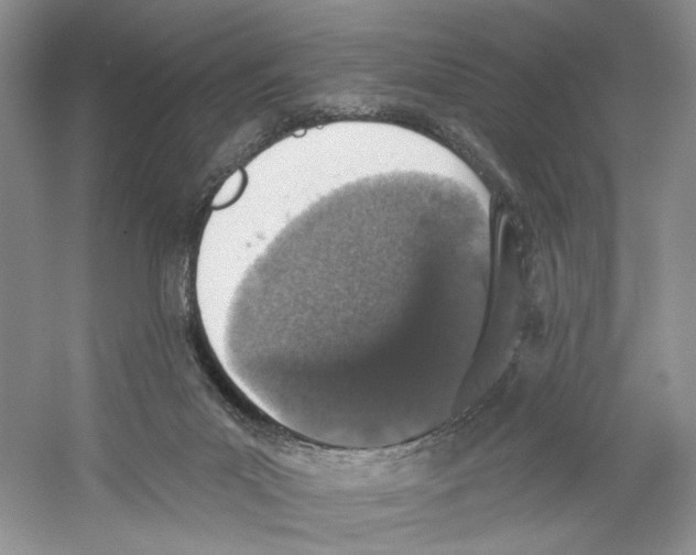 X0000059240023200511111627