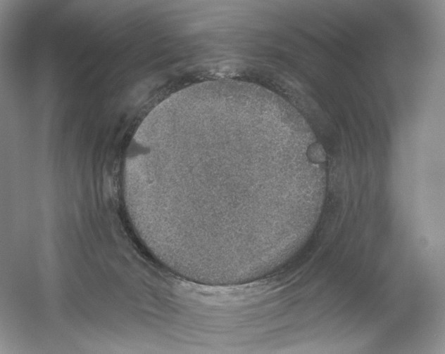 X0000059240030200511111627