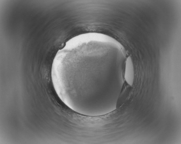 X0000059240031200511111627