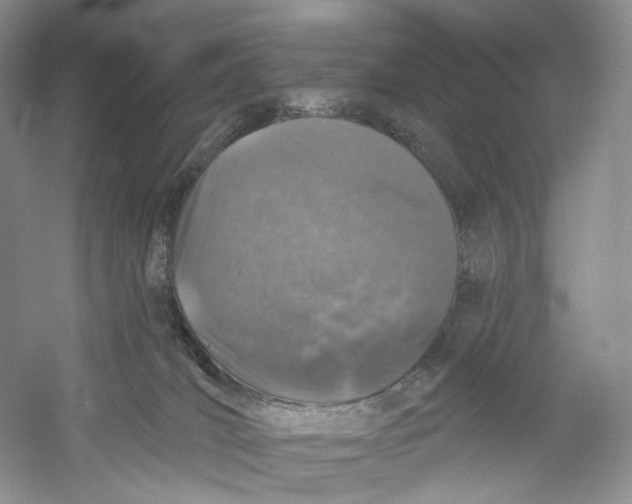 X0000059240036200511111626