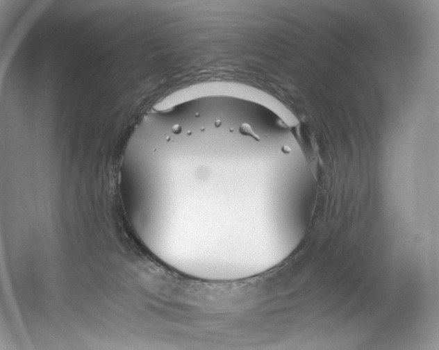 X0000059240037200511111626