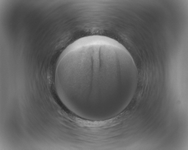 X0000059240039200511111626