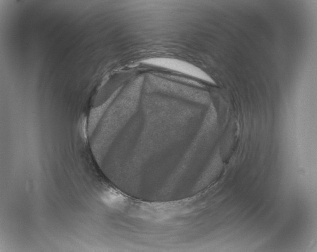 X0000059240041200511111626