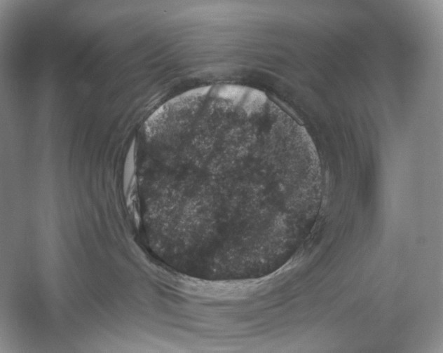 X0000059240048200511111626