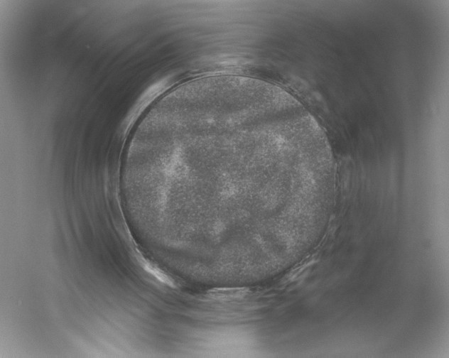 X0000059240051200511111625