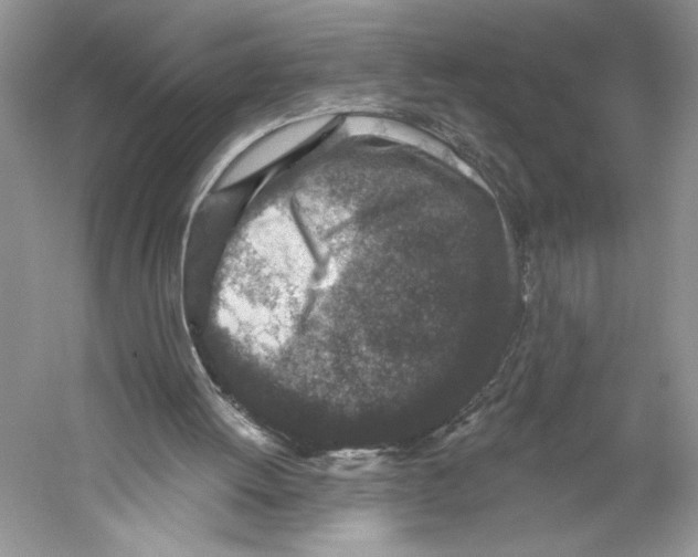 X0000059240052200511111625