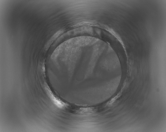 X0000059240057200511111626