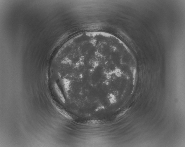 X0000059240059200511111626
