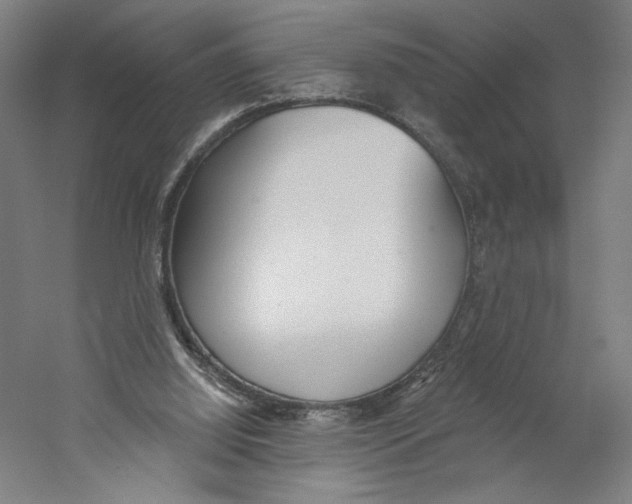 X0000059240060200511111626