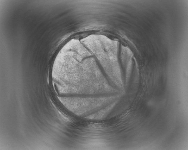 X0000059240062200511111626