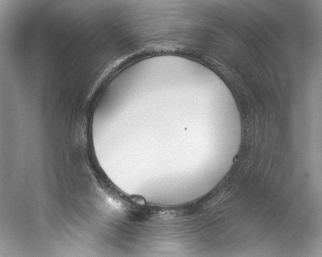 X0000059240064200511111626