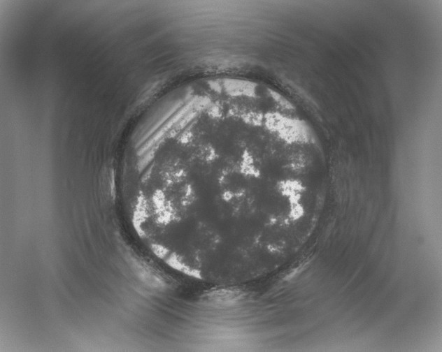 X0000059240067200511111626