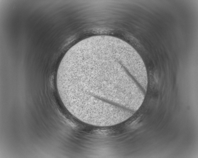 X0000059240071200511111626