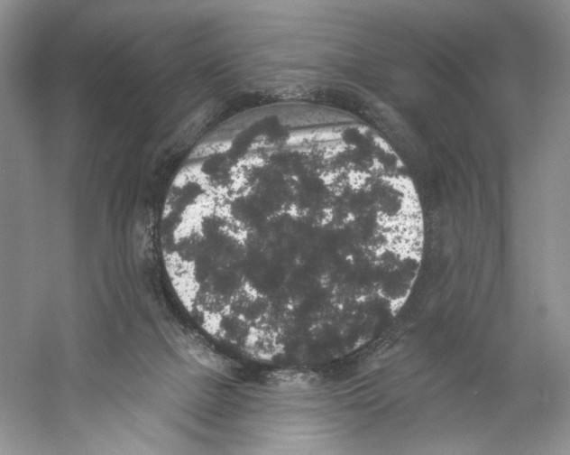 X0000059240073200511111626