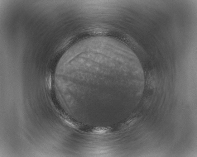 X0000059240076200511111626