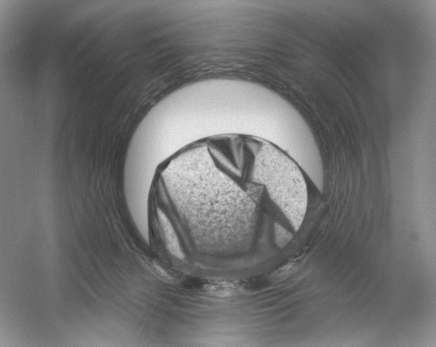 X0000059240079200511111626
