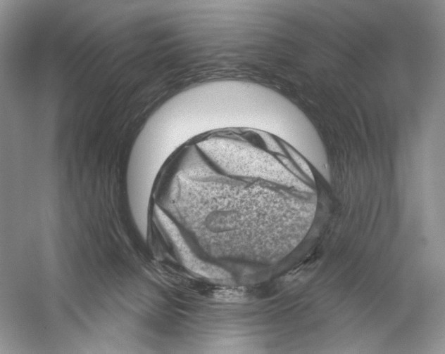 X0000059240080200511111626