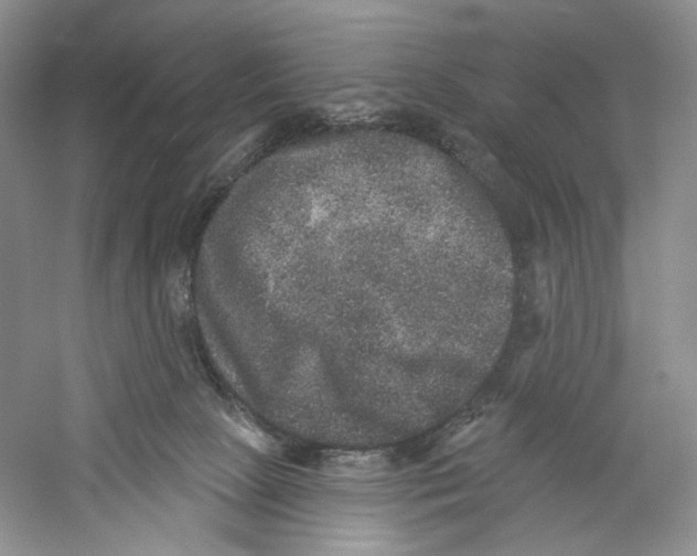 X0000059240081200511111626