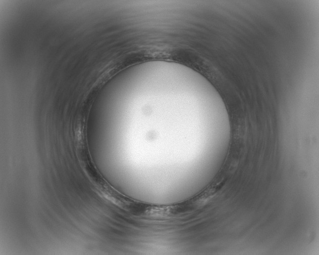 X0000059240084200511111626