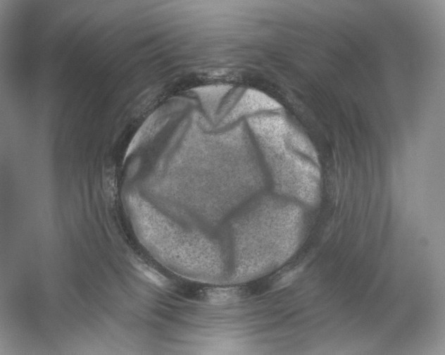 X0000059240085200511111626