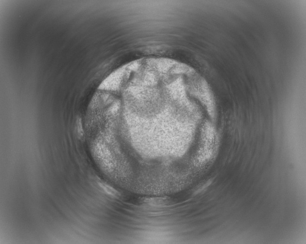 X0000059240089200511111626