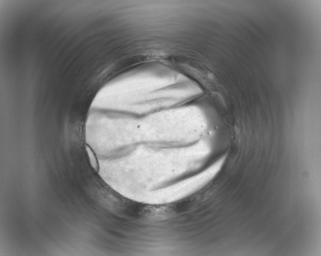 X0000059240093200511111626