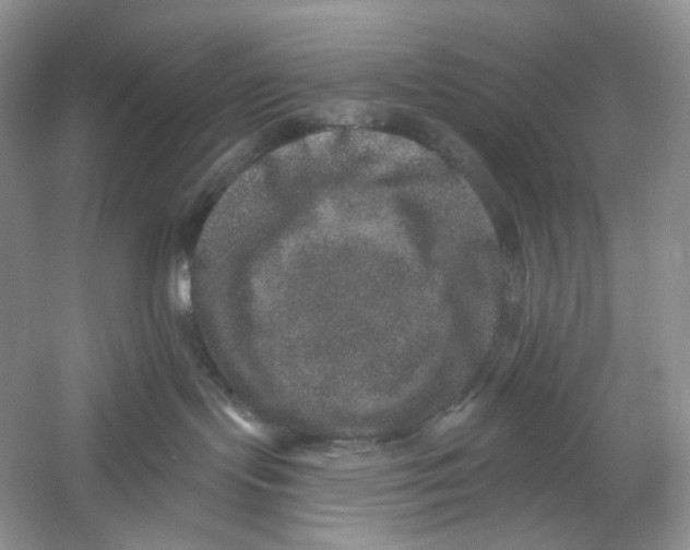 X0000059240095200511111626