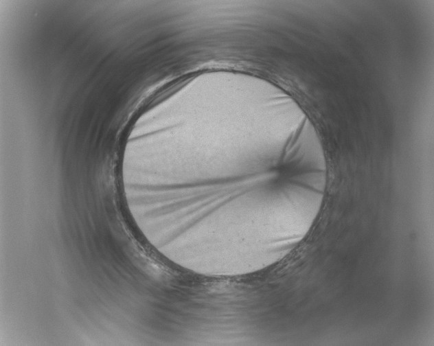 X0000059240098200511111625