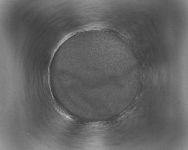 X0000059240100200511111625