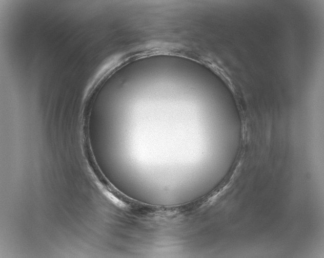 X0000059240101200511111625