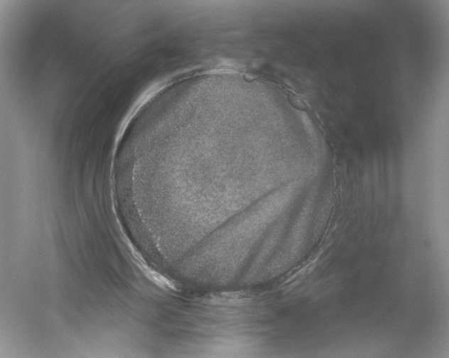 X0000059240102200511111625
