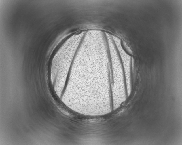 X0000059240103200511111625