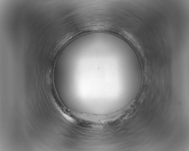 X0000059240105200511111625