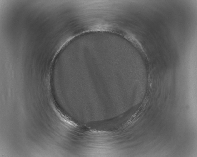 X0000059240108200511111625