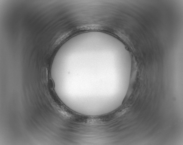 X0000059240109200511111625